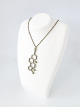 Load image into Gallery viewer, Testosterone Necklace