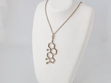 Load image into Gallery viewer, Testosterone Necklace