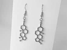 Load image into Gallery viewer, Testosterone Earrings